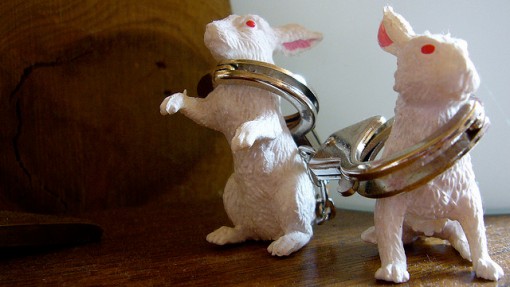 bunny toys with handcuffs